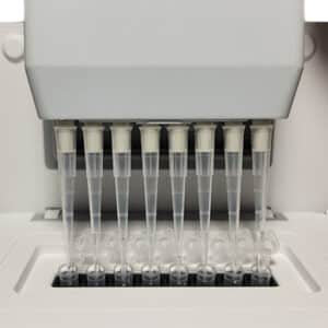 Accuris Smart Q Fluorometer 8 Sample Processing View