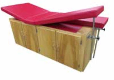 Neat Bailey Cabinet Treatment Table with Four Doors, Locking Dual Legrest and Adjustable Backrest for Clinical Storage and Patient Comfort
