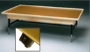Side View Bailey Economy Hi-Lo Electric Mat Table with Raised Rim Adjustable Physical Therapy and Rehab Treatment Table for Clinics