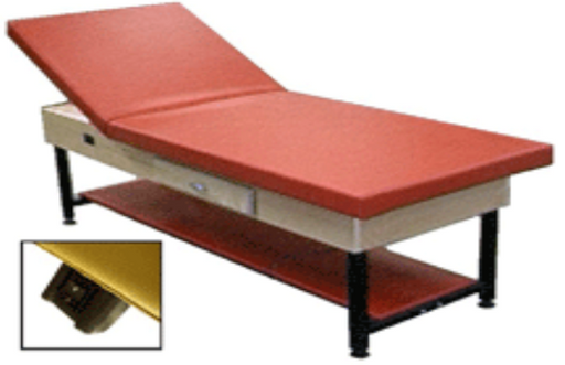 High Quality Bailey Electric Hi-Lo Treatment Table Model 4250 with Adjustable Backrest, Storage Drawer and Shelf for Physical Therapy and Medical Clinic