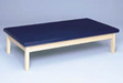 Reliable Bailey Stationary Upholstered Top Mat Table Freestanding Therapy, Gymnastics and Martial Arts Exercise Table