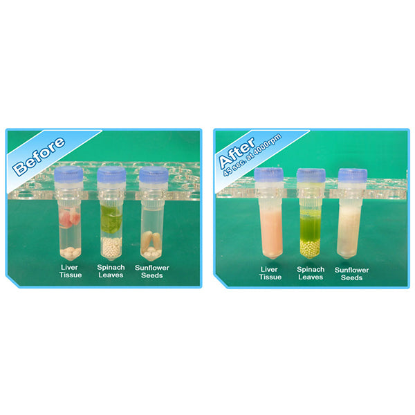 Before And After Visual Demonstration Of The Homogenization Process View