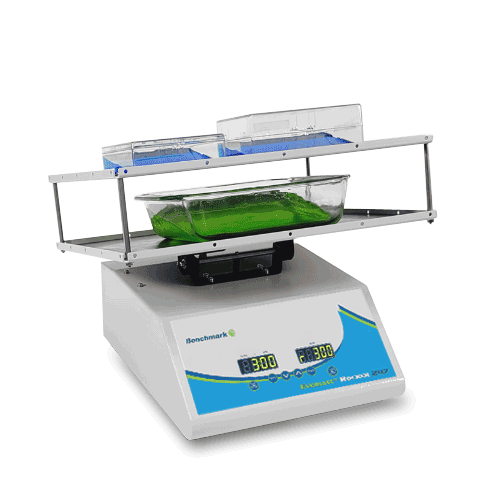 Benchmark Scientific Everlast Rocker With Variable Speed And Flat Mat With Staining Tray And Gel Rigs View