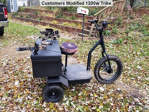 MotoTec Electric Trike 48V 1200W Customers Modified View