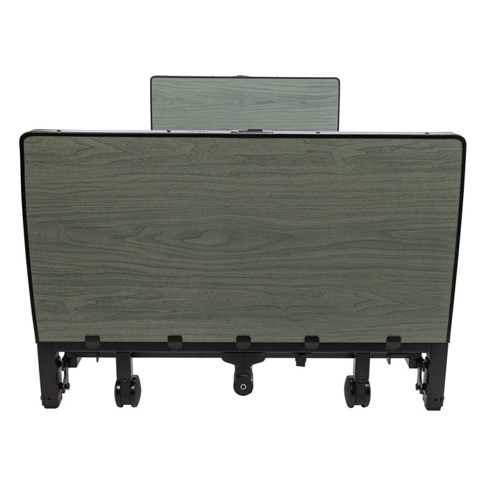 Proactive Medical Protekt Akra FE Full-Electric Low Bed Headboard And Footboard Detail View.