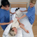 Savaria WendyLett 4 Way Sliding Drawsheet For Multidirectional Bed Mobility And Repositioning Featuring Patient Being Moved