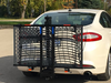 Wheelchair Carrier Patriotic Electric Lift Frame Folded Installed Into The Car Hitch Receiver View